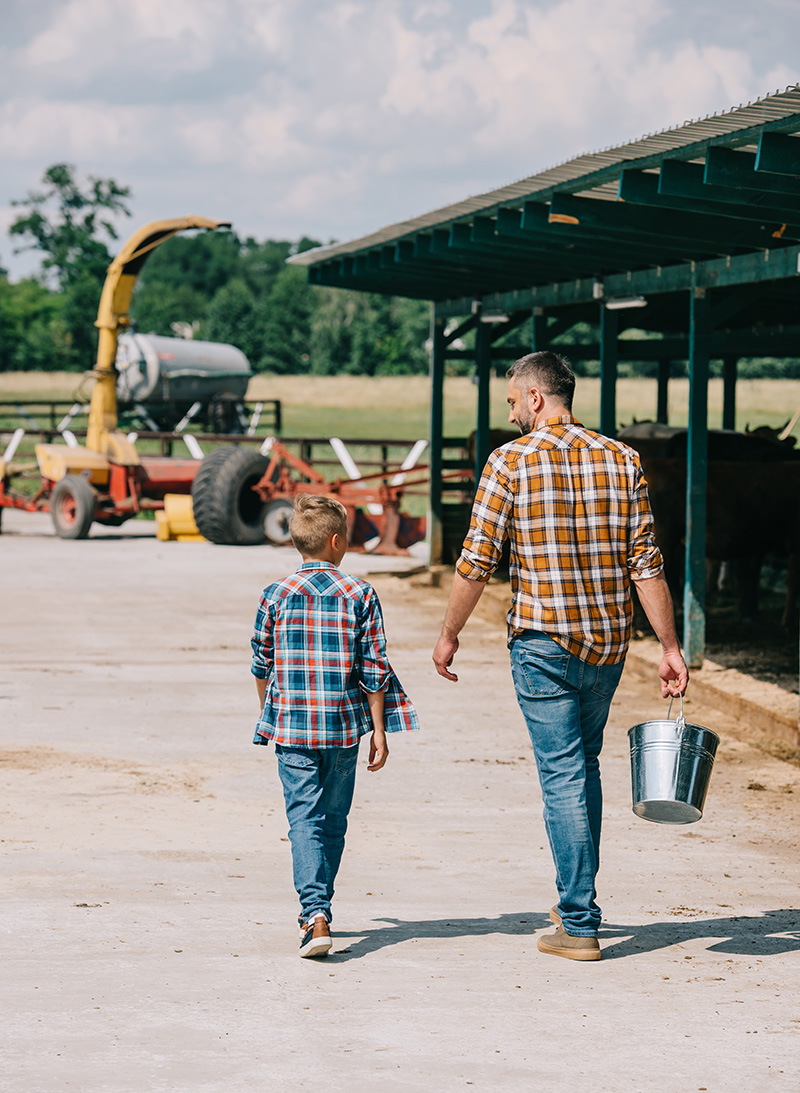 Poultry house insurance coverage Southeast Georgia